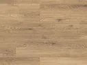 Panel podłogowy Wild Sargus 2734 zdjęcie 1